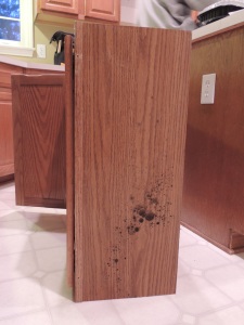 My Morning Coffee- Mold On Cabinet